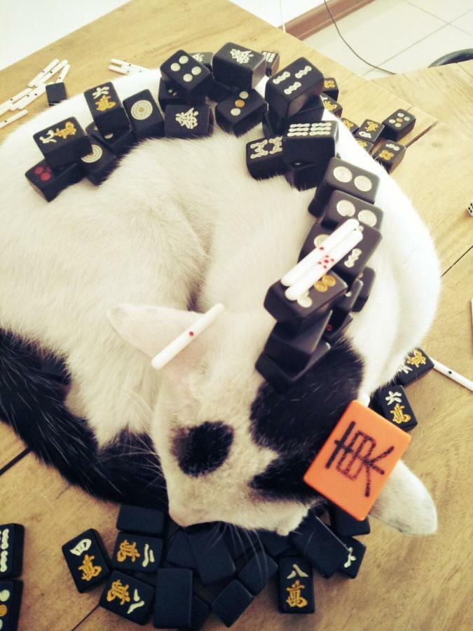 宿务 Cat Japanese Only At Uh Huh House旅舍 外观 照片