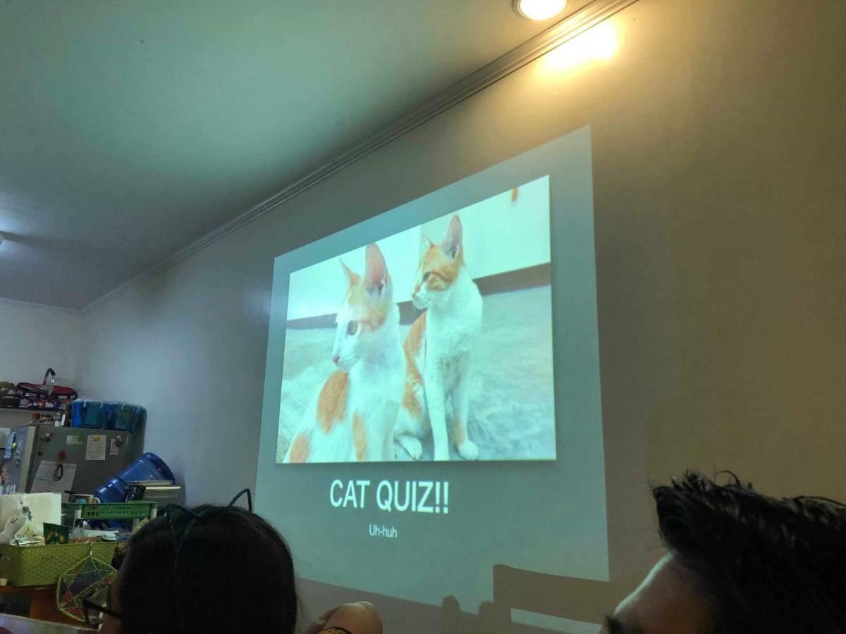 宿务 Cat Japanese Only At Uh Huh House旅舍 外观 照片